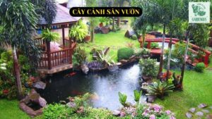 Cây cảnh sân vườn